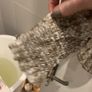 Puff sleeve blouse Image 5