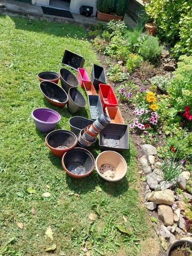 free flower pots