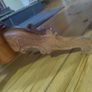 antique coffee table Image 5