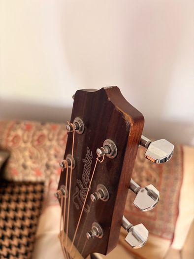 Takamine Acoustic Guitar