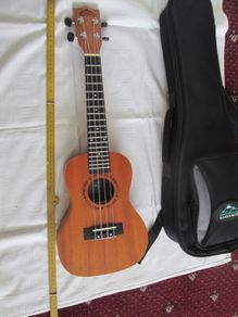 musical instrum
