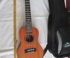 musical instrum