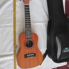 musical instrum