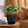 8 Pack Plant Pots Image 6