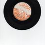 Dermot Morgan A Taoiseach Lament Sally Obrien Irish Pressing Single 1982 Image 2