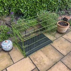 dog kennel medium size