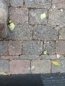 driveway pavers. Collection in Dublin