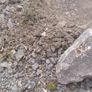 Gravel and sand infill Image 3