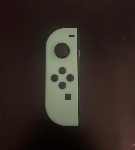 Nintendo Switch Joy-Cons