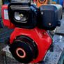 pacini diesel engine Image 3