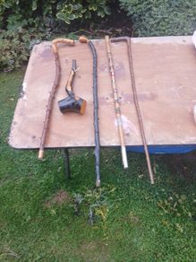 blackthorn walking sticks