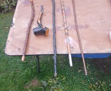 blackthorn walking sticks