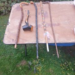 blackthorn walking sticks