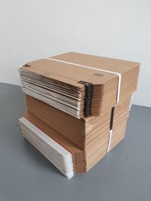 Rigid Corrugated Envelopes