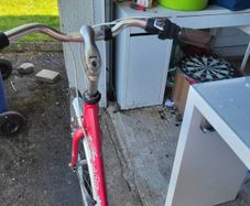 ladies bike