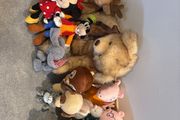 Collection of soft toys