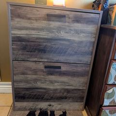 2-Tier Shoe Cabinet