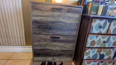 2-Tier Shoe Cabinet