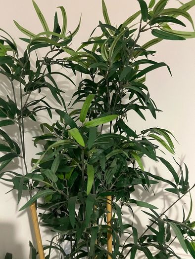Fake Plant Bamboo tall Ikea