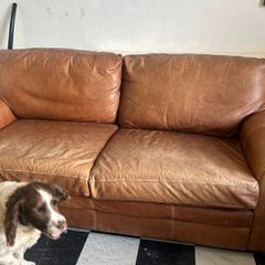 Leather sofa: FREE!