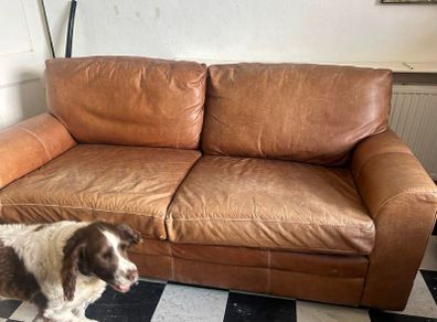 Leather sofa: FREE!