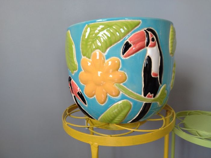 Heavy Ceramic Tropical Plant Pot