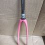 Pinarello fork Image 3