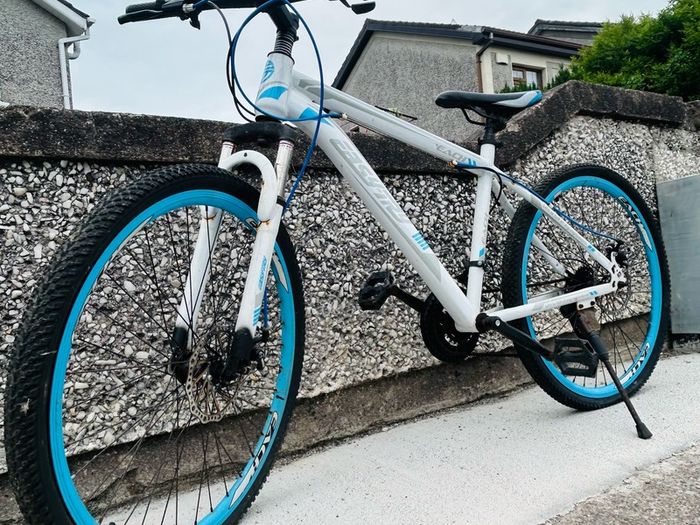 disc bike