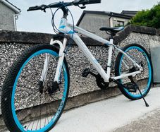 disc bike