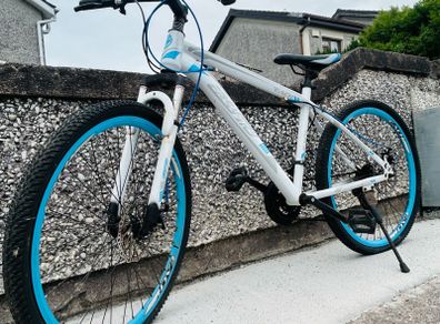 disc bike