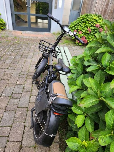 eBikes