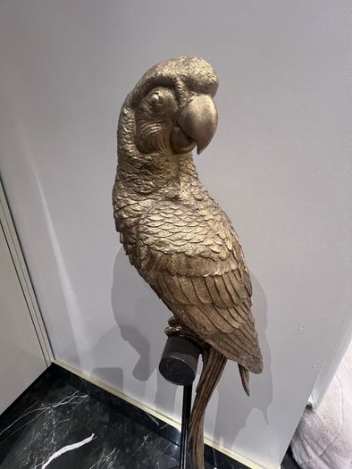 decorative parrot