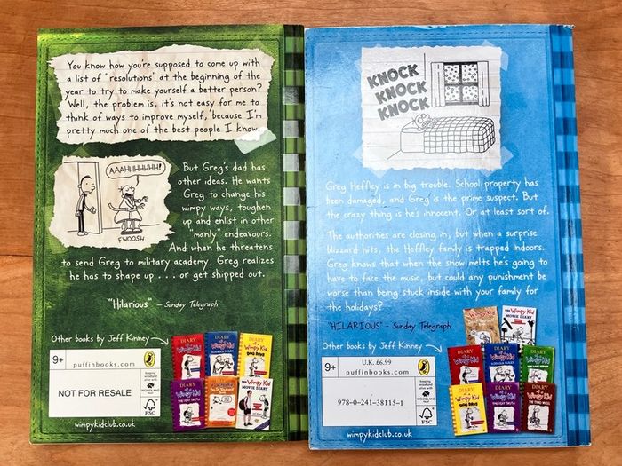 Diary Of A Wimpy Kid Books 3 & 6 The Third Wheel & Cabin Fever  by Jeff Kinney