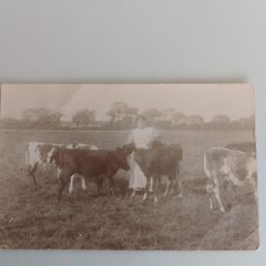 Antique Unposted RPPC  Early 20th C. Rural Farming Scene, Elswick