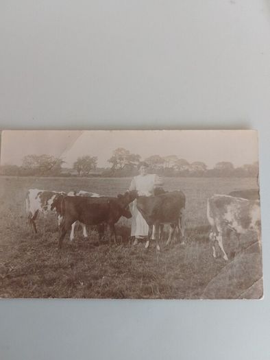 Antique Unposted RPPC  Early 20th C. Rural Farming Scene, Elswick