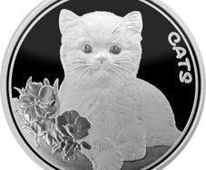 2022 Fiji 50 Cents 1oz Silver Bullion Coin - Cats. Proof-like. (In Capsule)