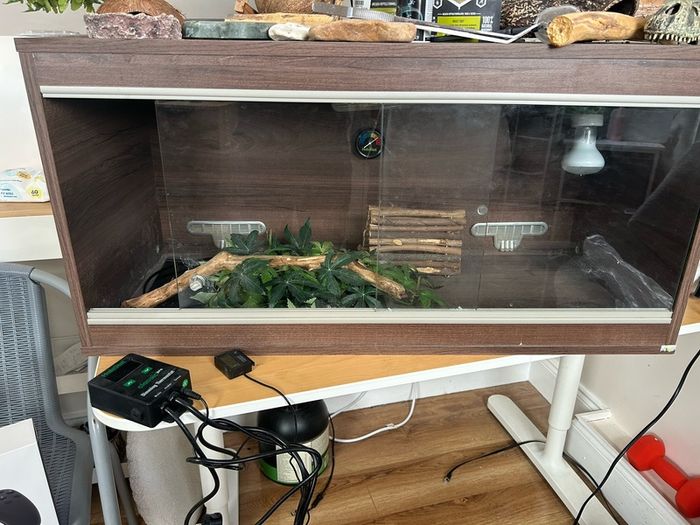 Gecko Enclosure