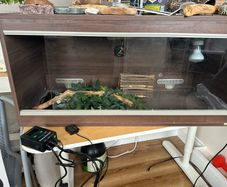 Gecko Enclosure
