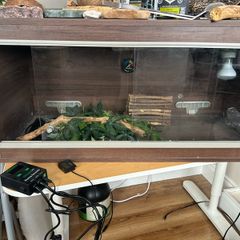 Gecko Enclosure
