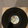 Tiffany Vinyl Image 5