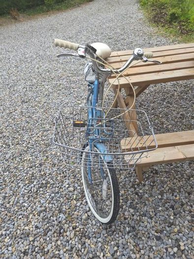 raleigh Saphire