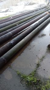 poles