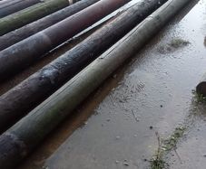 poles