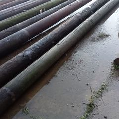 poles