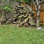 fire wood Image 2
