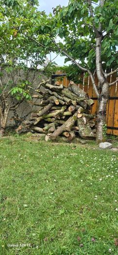 fire wood