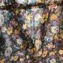 Cotton/silk blouse Image 9