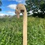 Hand crafted Irish walking sticks and staffs Image 2