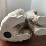 Afghan Hound Pottery Dog Image 5