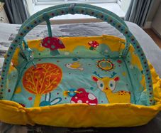 Baby playmat
